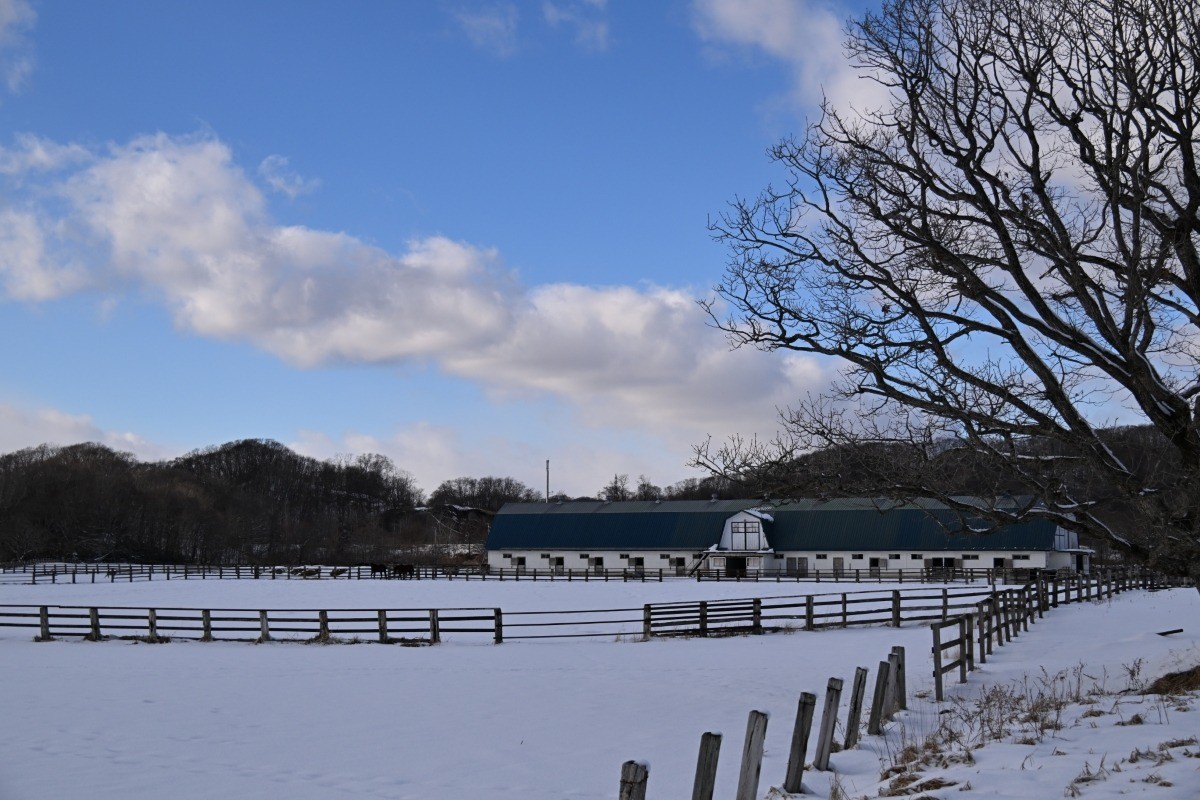 49b99c8b28d319f28195c0888b76b0ef-1771432731.jpg 49b99c8b28d319f28195c0888b76b0ef-1771432731.jpg